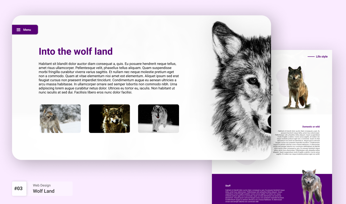 Asta | Porfolio